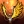 REBORN.TOP09_01.202510_38_21.webp.035969acd89f2a6c4675f3e99680af9a.webp